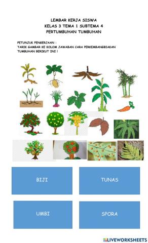 Lkpd tema 1 st 4 kelas 3