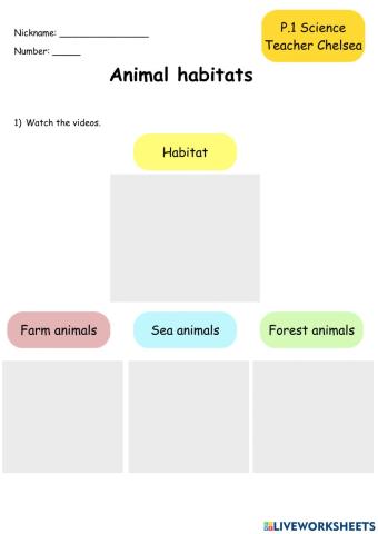 Animal Habitats