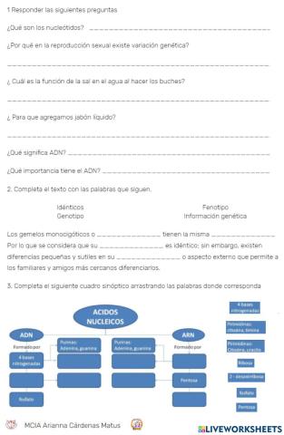 Actividades extracción ADN