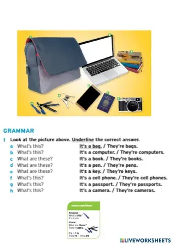School objects - singular-plural