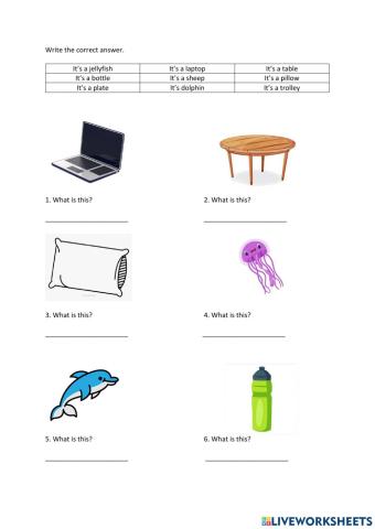 English (pre-school)