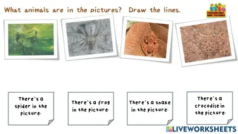 Worksheet for camouflage animals super minds unit 3 pet show page 42 page 43 what are the animals in the picture