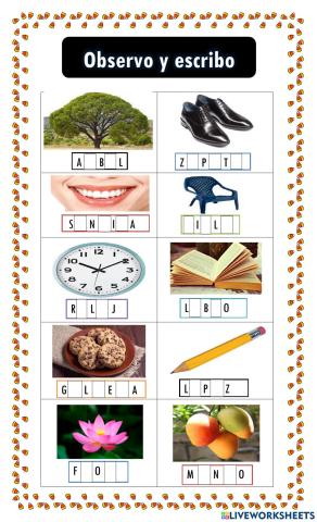 -Observo y escribo-
