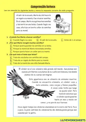 Comprensión lectora