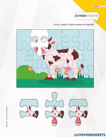 Actividad 16 letra k