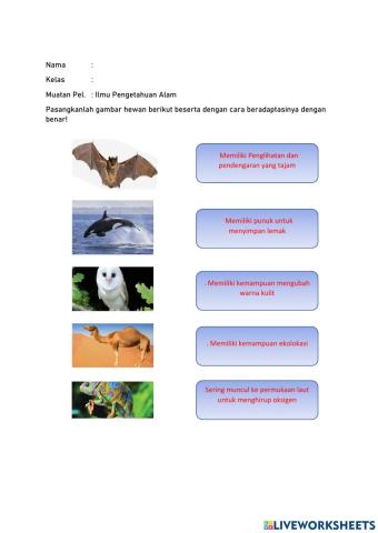 LKPD Adaptasi Pada Hewan