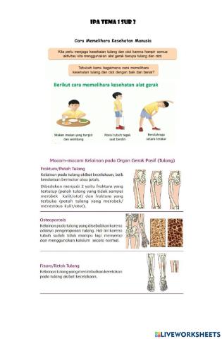 Gangguan Kesehatan Alat Gerak