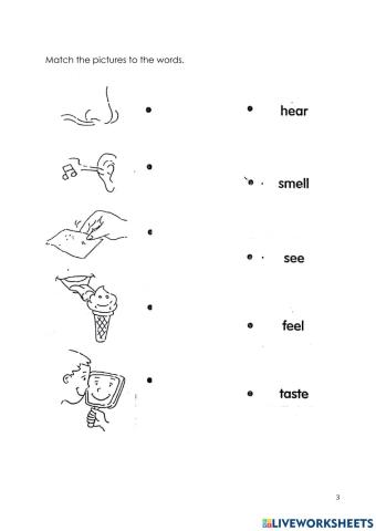 G2 Science Unit 2 My Five Sense