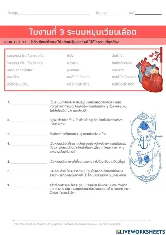 ระบบหมุนเวียนเลือด