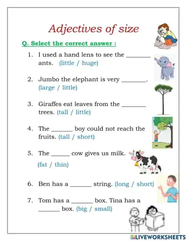 Adjectives of  size