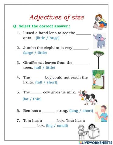 Adjectives of  size