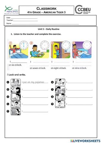 American Tiger - U5 - Daily routine