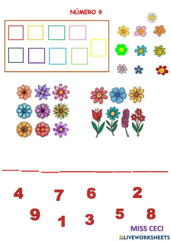 Número 9