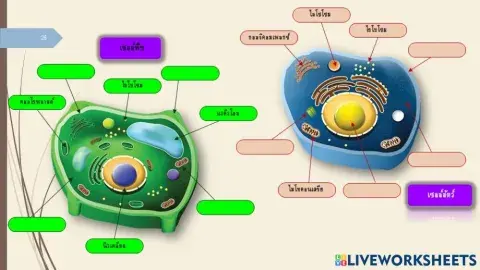 ชีววิทยา