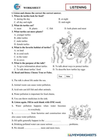 Listening1 - Sea turle +Water Pollution