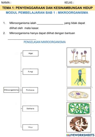 Pengelasan mikroorganisma