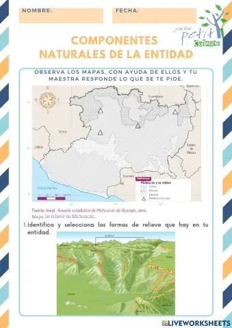 Componentes naturales de la entidad