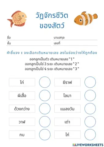 วัฏจักรชีวิตของสัตว์