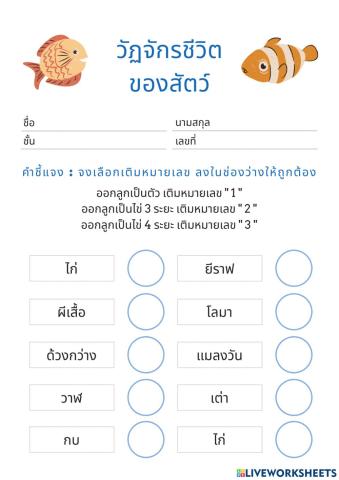 วัฏจักรชีวิตของสัตว์