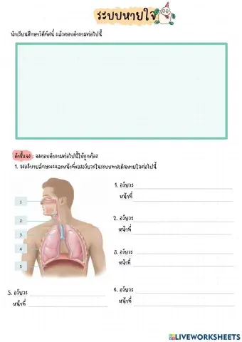 ระบบหายใจ