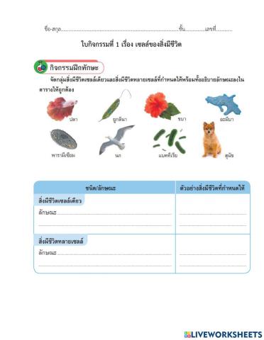 ใบกิจกรรมเซลล์และกล้องจุลทรรศน์