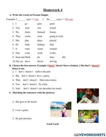 Homework 4 - Present Simple (P-N)