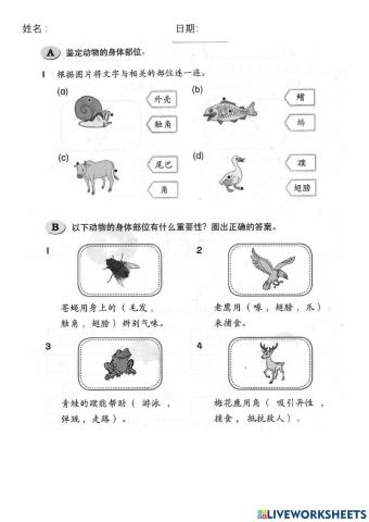 一年级科学复习（动物）