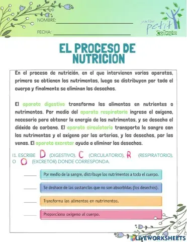 El proceso de nutrición