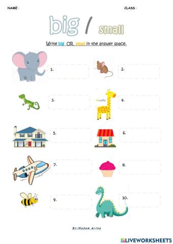 Super Minds Unit 2 : Adjectives (BIG small 1)