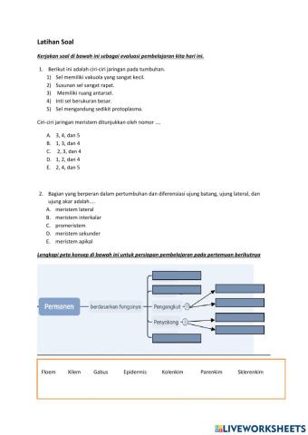 Latihan Soal Jaringan Tumbuhan