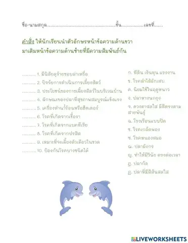 การเลี้ยงสัตว์