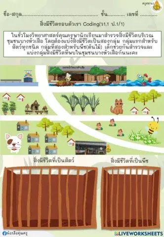 สิ่งมีชีวิต ป.1 coding