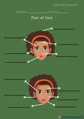 Parts of face
