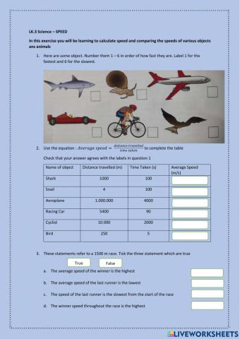 LK.3 Science -Speed
