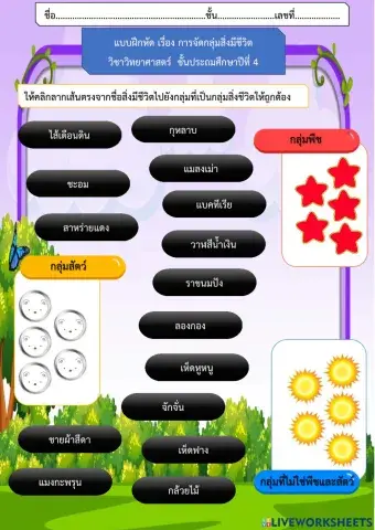 แบบฝึกหัดการจัดกลุ่มสิ่งมีชีวิต