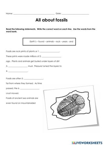 Fossils Worksheet