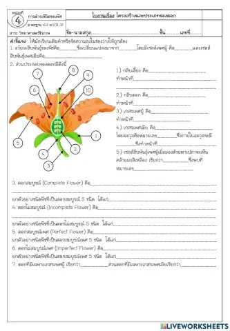 โครงสร้างของดอก