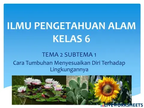Ilmu pengetahuan alam