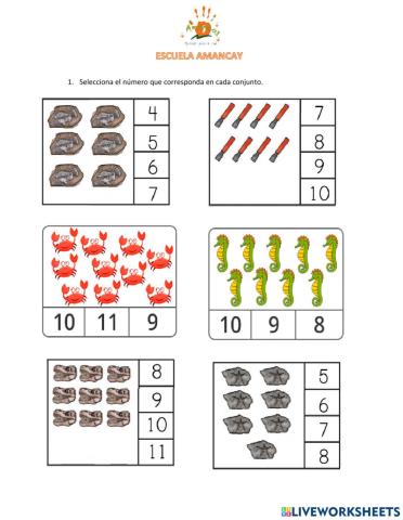 Conjunto de Elementos