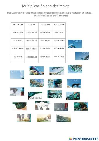 Multiplicaciones con decimales