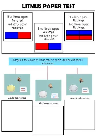 LITMUS PAPER TEST REACTION