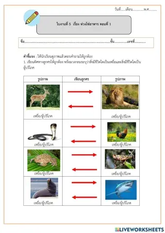 ใบงานที่ 5 ห่วงโซ่อาหาร