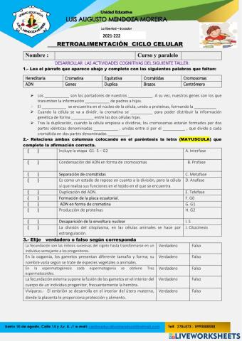 Retroalimentacion de conocimientos