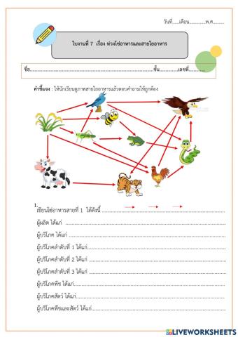 ใบงานที่ 7 ห่วงโซ่อาหารและสายใยอาหาร