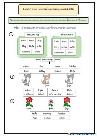 ใบงานที่ 9 การถ่ายทอดลักษณะทางพันธุกรรมของสิ่งมีชีวิต