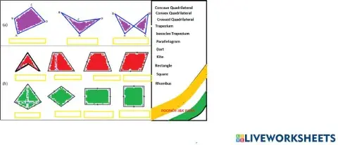 Types of Quadrilaterals