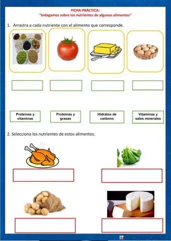 Indagamos sobre los nutrientes de algunos alimentos