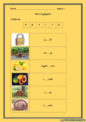 மெய் எழுத்துகள்