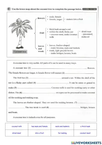 Treasures of  Malaysia