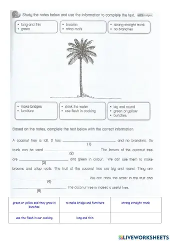 Treasures of  Malaysia